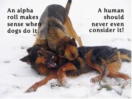 Fearful Dog